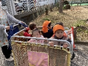 めだか組☆お散歩